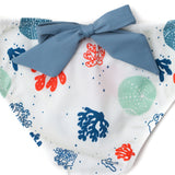 Isabella swim pants